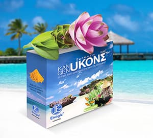 Kangen Ukon